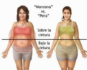 tipos de cuerpos según acumulación de grasa corporal